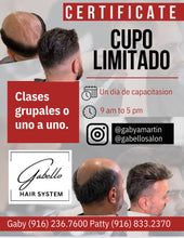 Load image into Gallery viewer, Sistemas Capilares en 3 pagos